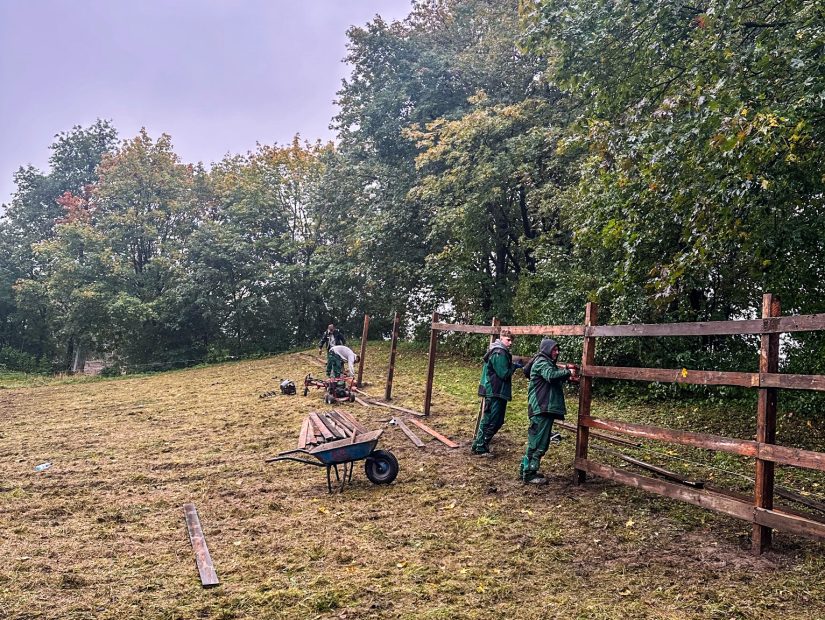 Dieses Bild zeigt Vorbereitende landschaftsgärtnerische Arbeiten der Firma Drewes Landschaftsbau GmbH an der Herschelschule Hannover